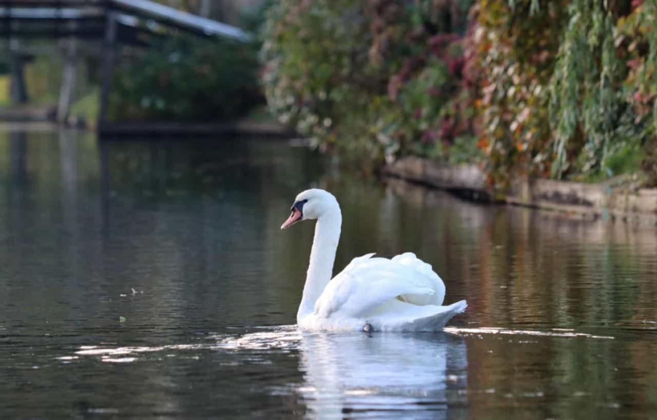 Appartement Hoek Giethoorn Bagian luar foto